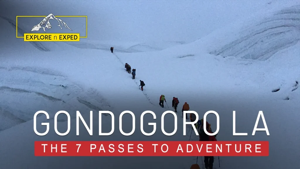 Gondogoro Pass