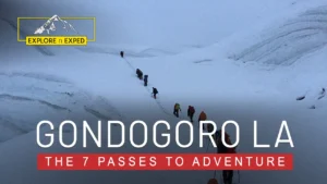 Concordia K-2 Basecamp, Gondogoro Pass